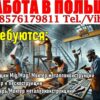Польша: Сварщики, Монтажники металлоконструкций, Маляры.