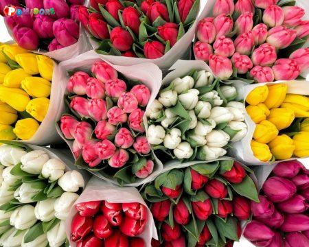 Свежие цветы оптом к празднику Свежие цветы оптом к празднику