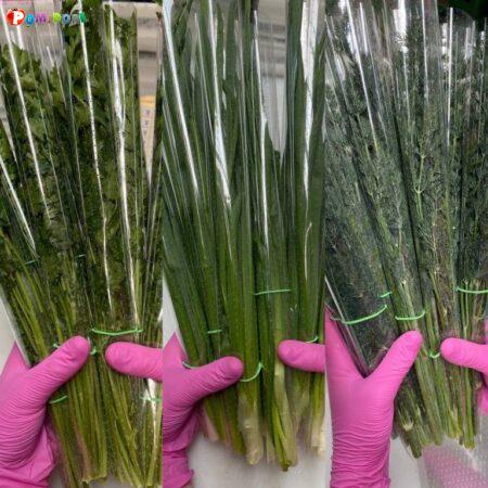 Работа в Польше на упаковке зелени в пучки, проживание и питание Работа в Польше на упаковке зелени в пучки, проживание и питание