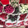Белорусские тюльпаны оптом под заказ.
