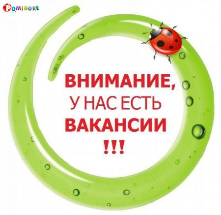 Есть Вакансии- швея, фотограф, парикмахер тц Дана Молл