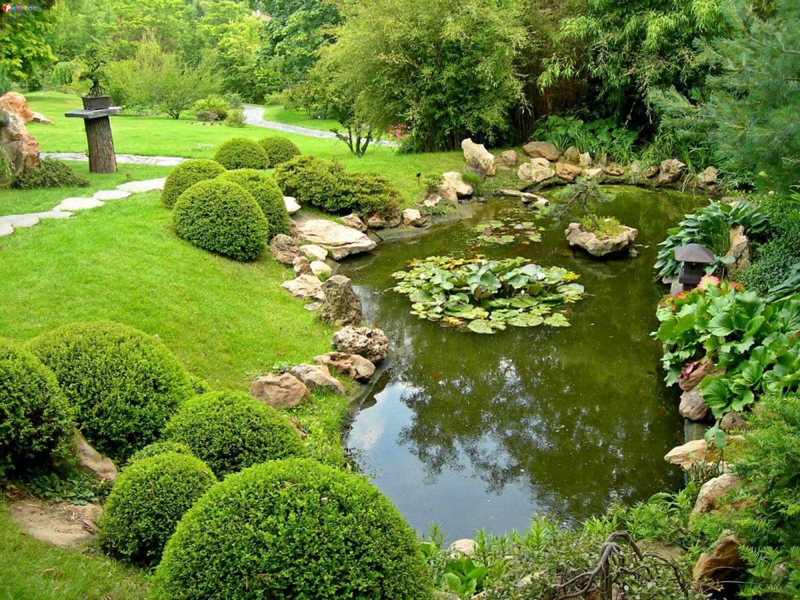Искусственные сообщества пруд. Хелен парк+ ландшафт. Рокарий болотце. Экостиль ландшафт пруд. Малый сад в пейзажном стиле.